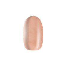 Load image into Gallery viewer, Marzipan