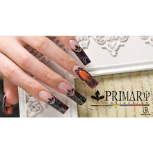 Load image into Gallery viewer, Primary Collection