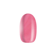 Load image into Gallery viewer, Macaron