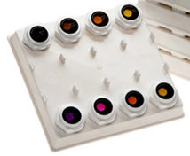 Load image into Gallery viewer, Autumn Collection